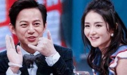 何炅谢娜最新爆料,揭秘娱乐圈背后的惊人真相