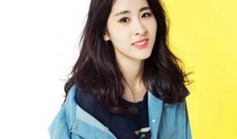 明星爆料歌单大全最新,揭秘偶像私藏音乐清单