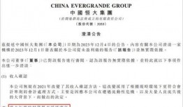 恒大财务爆料最新消息,揭秘债务危机背后的真相与应对策略