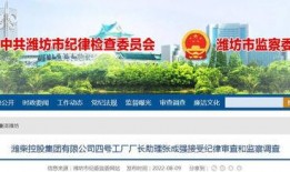 潍坊爆料最新,聚焦城市动态，探寻民生热点