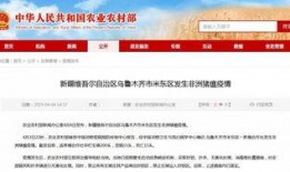 米东区爆料最新新闻报道,聚焦民生热点，揭示社会现象