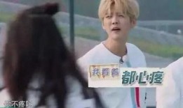 鹿晗资讯爆料最新消息,揭秘神秘爆料背后的真相