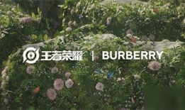 巴宝莉联名皮肤最新爆料,时尚与科技的完美融合