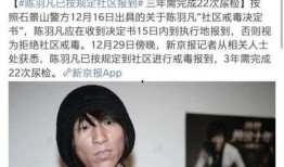 羽凡皮肤爆料视频大全最新,揭秘明星幕后造型秘密