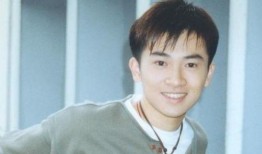 苏有朋明星娱乐圈最新爆料,揭秘明星背后的故事与精彩瞬间