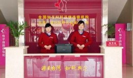 南阳卓越集团最新爆料,最新项目动态与未来规划深度解析