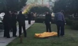 常州景区爆料事件视频最新,惊现惊人一幕，游客权益引热议！