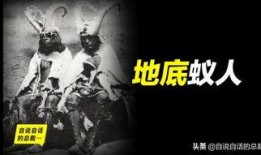 地底蚁人最新爆料视频大全,视频大全深度解析