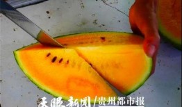 贵阳吃瓜爆料视频最新,最新视频揭秘城市热点事件