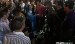 新建路学校最新爆料事件,揭秘校园事件背后的真相