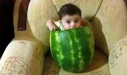 贵阳吃瓜爆料视频最新,最新视频揭秘城市热点事件