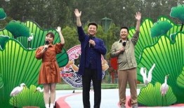 无锡导游爆料视频最新,带你探秘这座江南古城的隐藏魅力