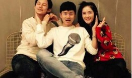 何炅谢娜最新爆料,揭秘娱乐圈背后的惊人真相