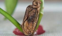 沉香今日爆料最新,最新爆料揭示沉香界的惊人内幕