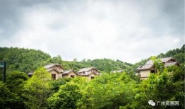 大城最新事件爆料信息,揭秘最新事件背后惊人真相