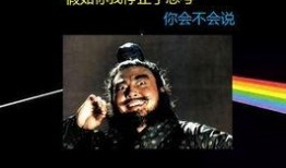 最新八卦爆料劲爆网,娱乐圈惊天大事件，真相令人震惊！