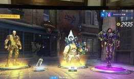 暴雪新皮肤最新爆料,炫酷特效，带你领略游戏魅力