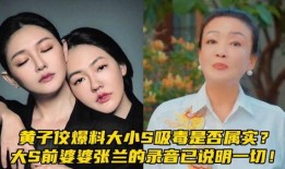 大s爆料最新消息录音,娱乐圈风云再起