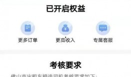 重庆滴滴司机最新爆料,揭秘行业内幕与困境