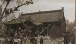 章丘四中爆料事件最新,真相揭开，校园霸凌背后的黑暗面