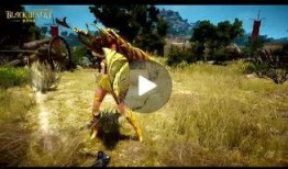 最新沙漠爆料视频大全下载