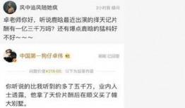卓伟最新爆料关键词,揭秘娱乐圈惊天秘密！