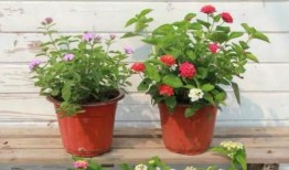 汶上爆料渣男视频最新,视频曝光惊人真相，网友热议不断