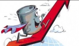 最新油价爆料新闻报道内容,最新爆料揭示市场动态与未来趋势