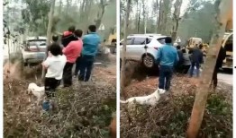 石塘镇最新爆料消息今天